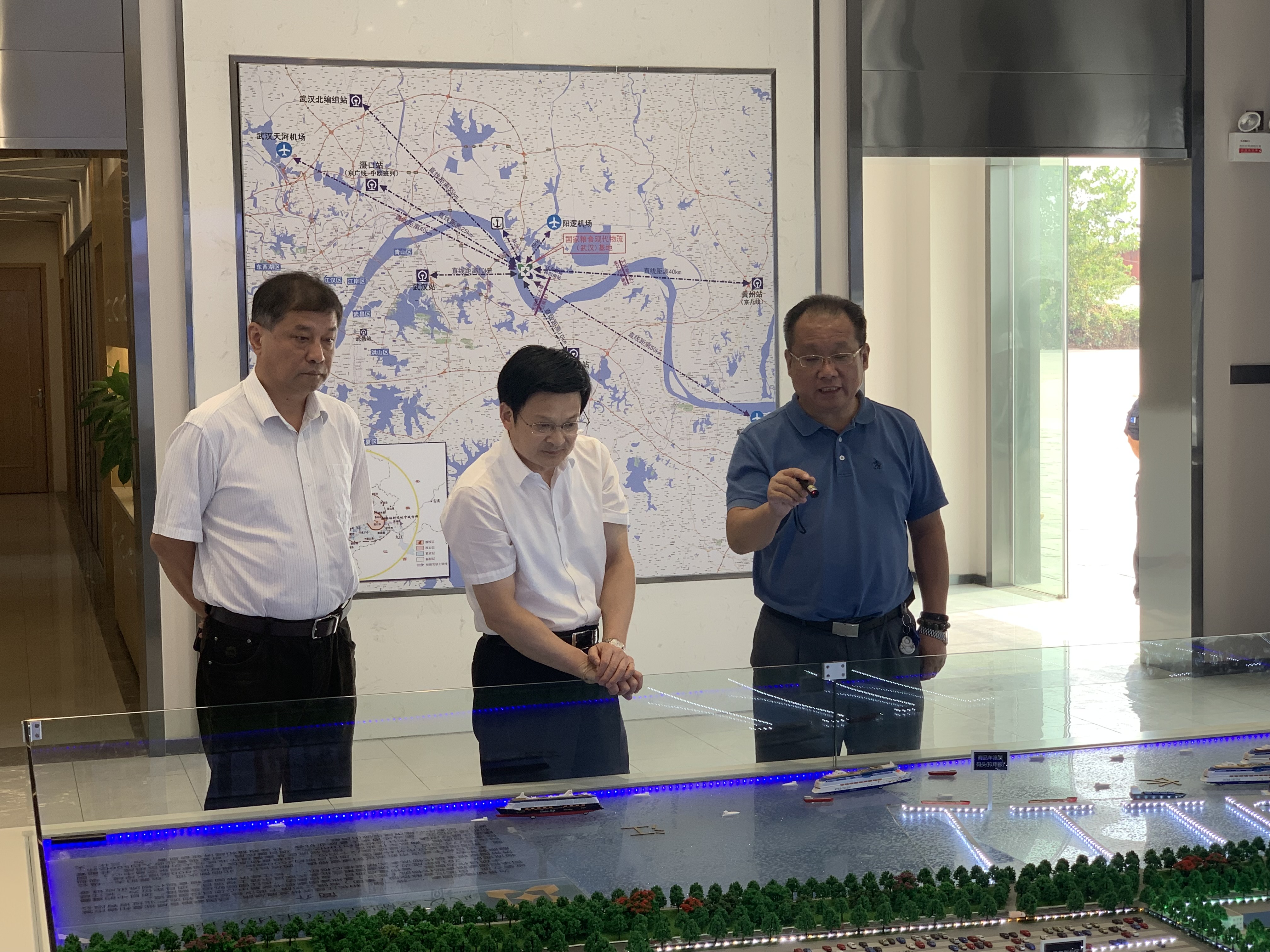 张依涛局长调研阳逻粮食物流园区建设项目